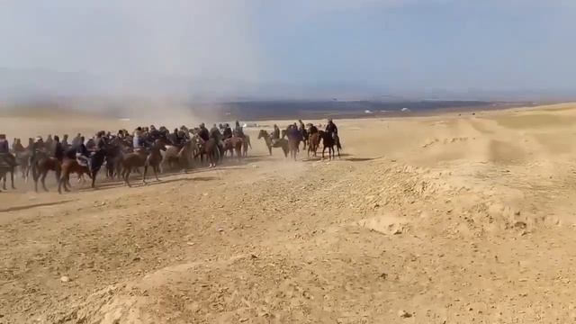 Аспи Муротбек Камерсант ай Арабхона лакаби Асп #Кобра#лаек патписатса бжк дустон смотреть онлайн