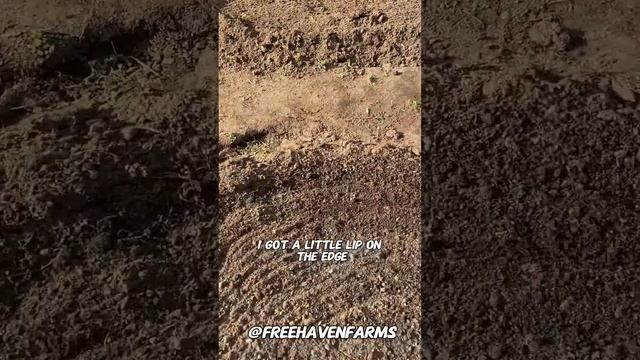 Hard Muscles, Soft Soil: The Secret to Maximum Growth Your Garden смотреть онлайн