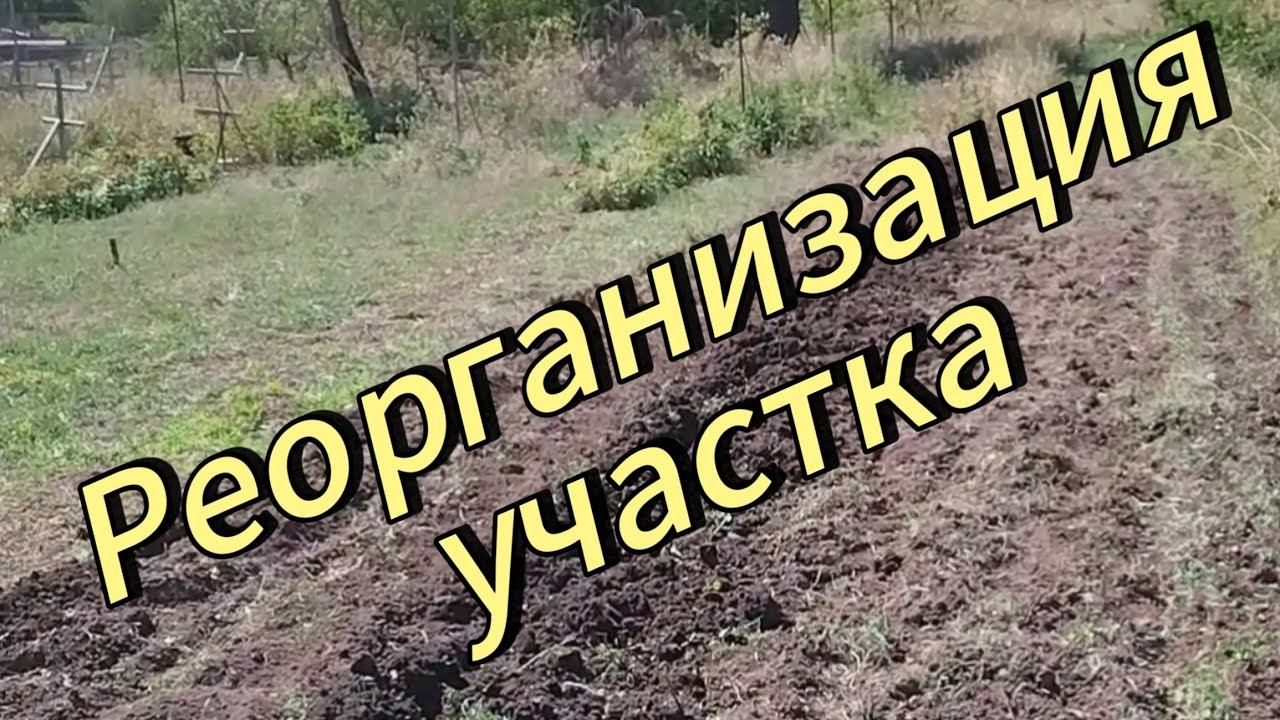 Реорганизация участка