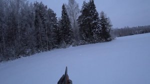 ОХОТА НА ТЕТЕРЕВА НА ЛУНКАХ. СИДЕЛ ДО ПОСЛЕДНЕГО!!