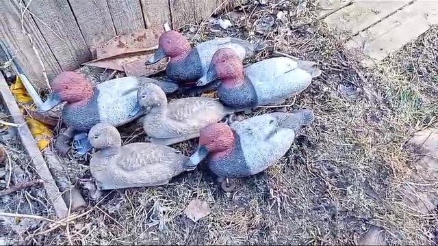 манчуки.mp4 смотреть онлайн