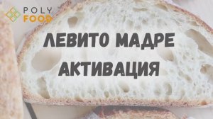Активация сухой закваски для выпечки "Левито Мадре. ВЕЧНАЯ" от PolyFood