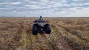 Васюганские болота на квадроциклах СОКОЛ!