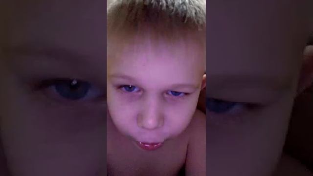 обзор на домики