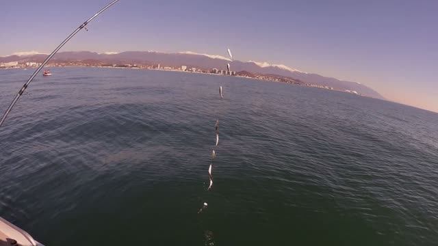 Морская рыбалка в Сочи на рассвете. Наш неожиданно впечатляющий трофей смотреть онлайн