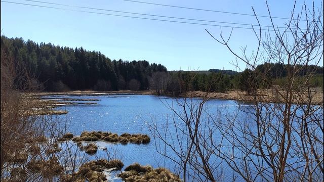 Е  Евтушенко  Со мною вот что происходит#стихиолюбви #стихиодружбе #поэты20века