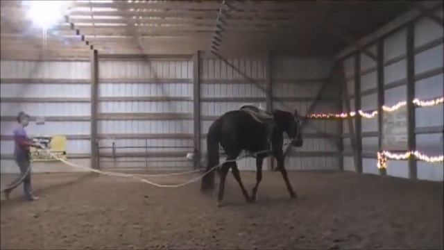 Blue - Driving Lines - Mar 27 смотреть онлайн