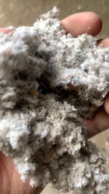 Rutube_account_14843686