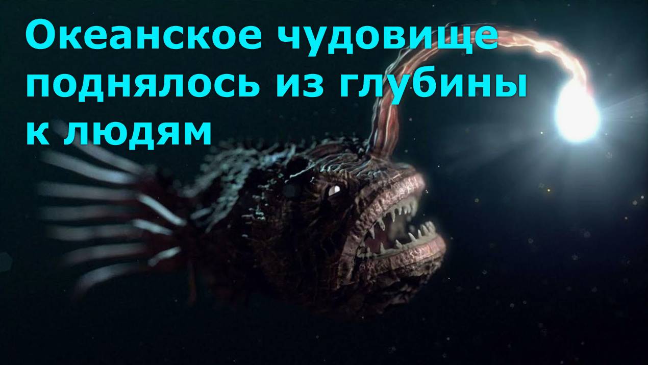 Чёрный удильщик Джонсона впервые выбрался из мрачной пучины океана на поверхность смотреть онлайн