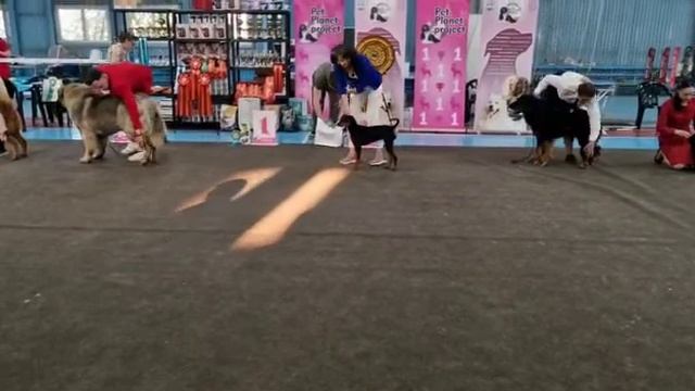 WhatsApp Video 2022 05 15 at 11 10 15 смотреть онлайн