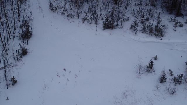 Приключения выходного дня смотреть онлайн