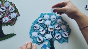 Перелетные и зимующие птицы