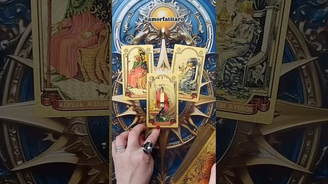 VID_20250211_143336_052.mp4