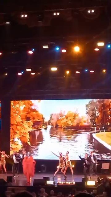 Концерт в БКЗ Октябрьский