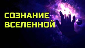 Может ли у Вселенной быть свое сознание？