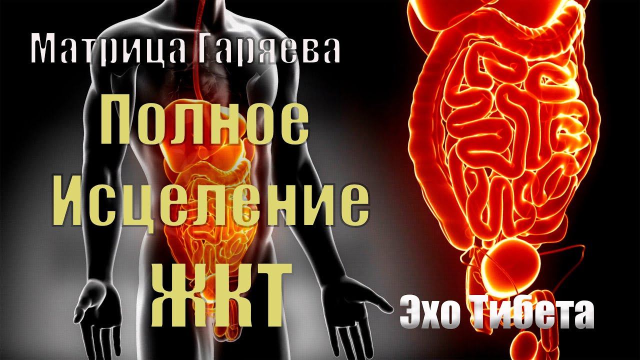 2024: Матрица Гаряева для исцеления и здоровья кишечника!