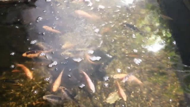 Все хорошо, я не пропал🙂 смотреть онлайн