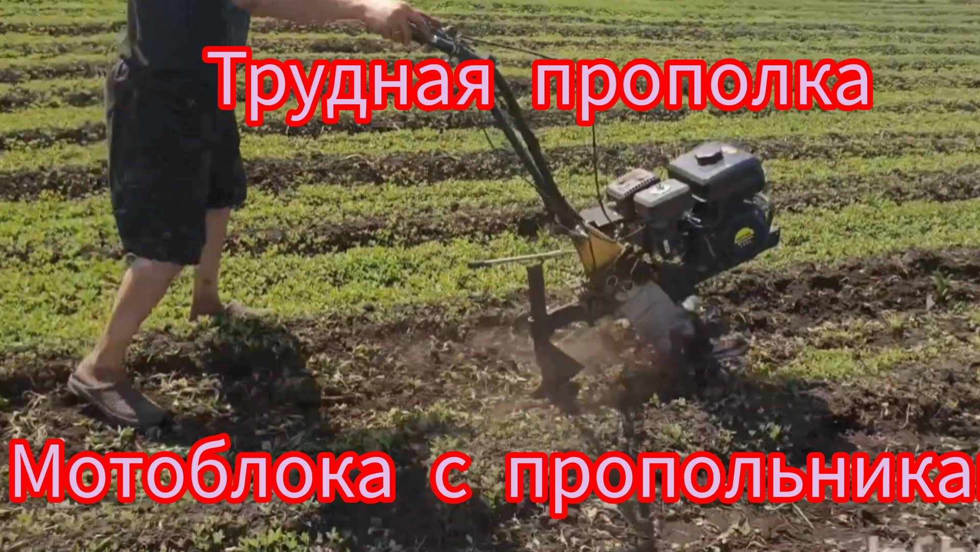 Мотоблочные пропольники для картофеля . смотреть онлайн