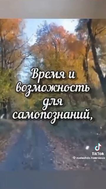 Самым сильным достаётся одиночество смотреть онлайн