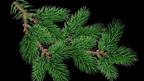 Magic in the Darkness