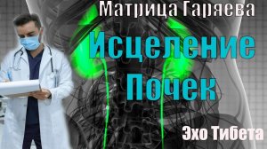 Матрица Гаряева: Исцеление Почек #эхотибета