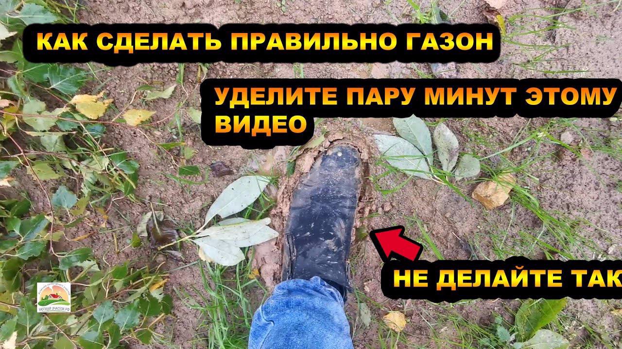 КАК сделать газон ГРАМОТНО | СМОТРЕТЬ ВСЕМ | УДЕЛИТЕ ПАРУ МИНУТ ЭТОМУ
ВИДЕО І КАК НЕ НУЖНО ДЕЛАТЬ!!! смотреть онлайн