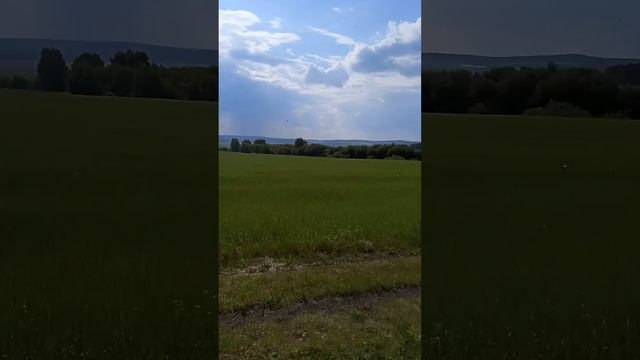 Кочевка на донник смотреть онлайн