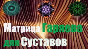 Матрица Гаряева для суставов ЧУДЕСА СУЩЕСТВУЮТ #эхотибета#суставы