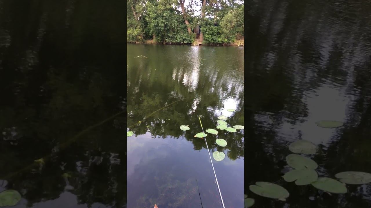 Выбрался на рыбалку