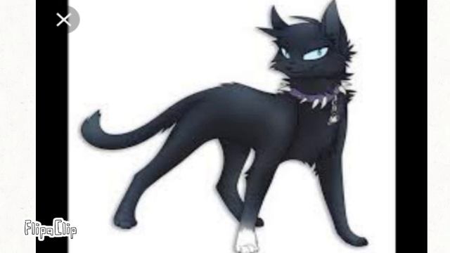 Моя 3 ос кота смотреть онлайн