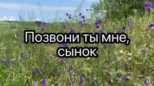 Позвони, сынок!