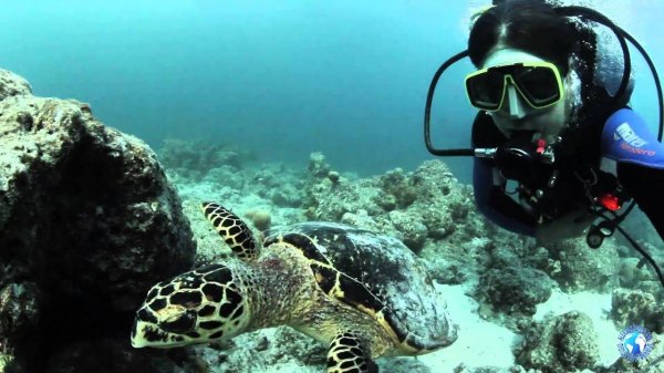 Maldives, October 2012. Yacht Maldiviana