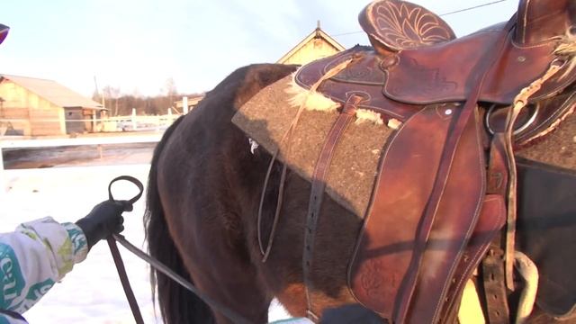 Учим лошадь уступать шенкелю смотреть онлайн