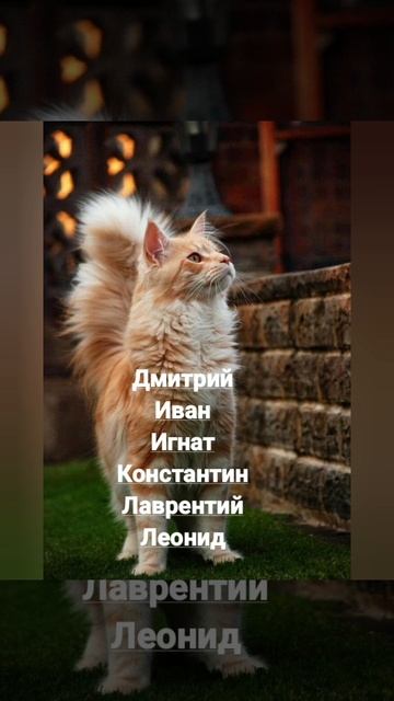 Именины 11 февраля