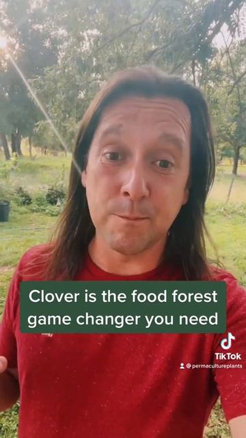 Why you need to plant clover in your food forest and orchard #gardening #garden #gardening101 смотреть онлайн