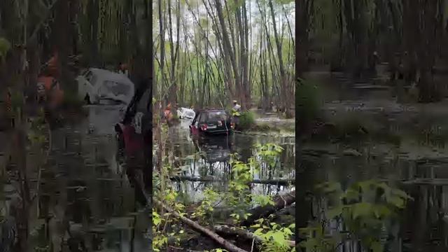 VID-20240518-WA0111 смотреть онлайн