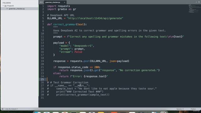 3 -Project 3 Grammar and Spell Checker with DeepSeek AI смотреть онлайн