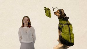 Проекты учащихся школы «Алгоритм»: Панические атаки, симптомы и способы лечения