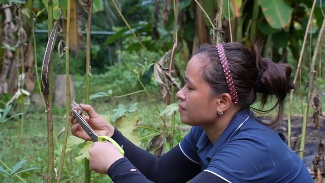 Harvest Chicken Eggs Goes to the market sell - Gardening - Live with nature смотреть онлайн