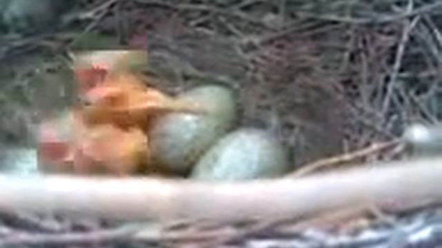 Морные чуваки смотреть онлайн