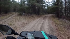 Loncin 300. Обкатка. Осенняя прогулка по лесу.