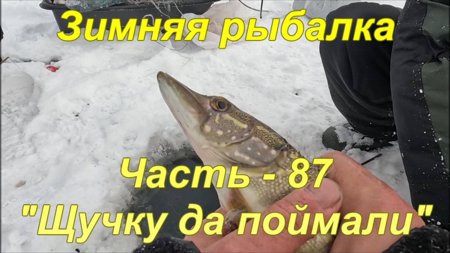 Зимняя рыбалка. Часть-87. "Щучку да поймали". смотреть онлайн