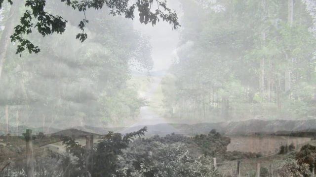 PALMEIRAL à BOTELHOS (MG) PAUL MAURIAT. COLETANEA смотреть онлайн