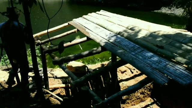 Video Lengkap .Membangun Tempat Perlindungan yang hangat untuk bertahan hidup dihutan смотреть онлайн