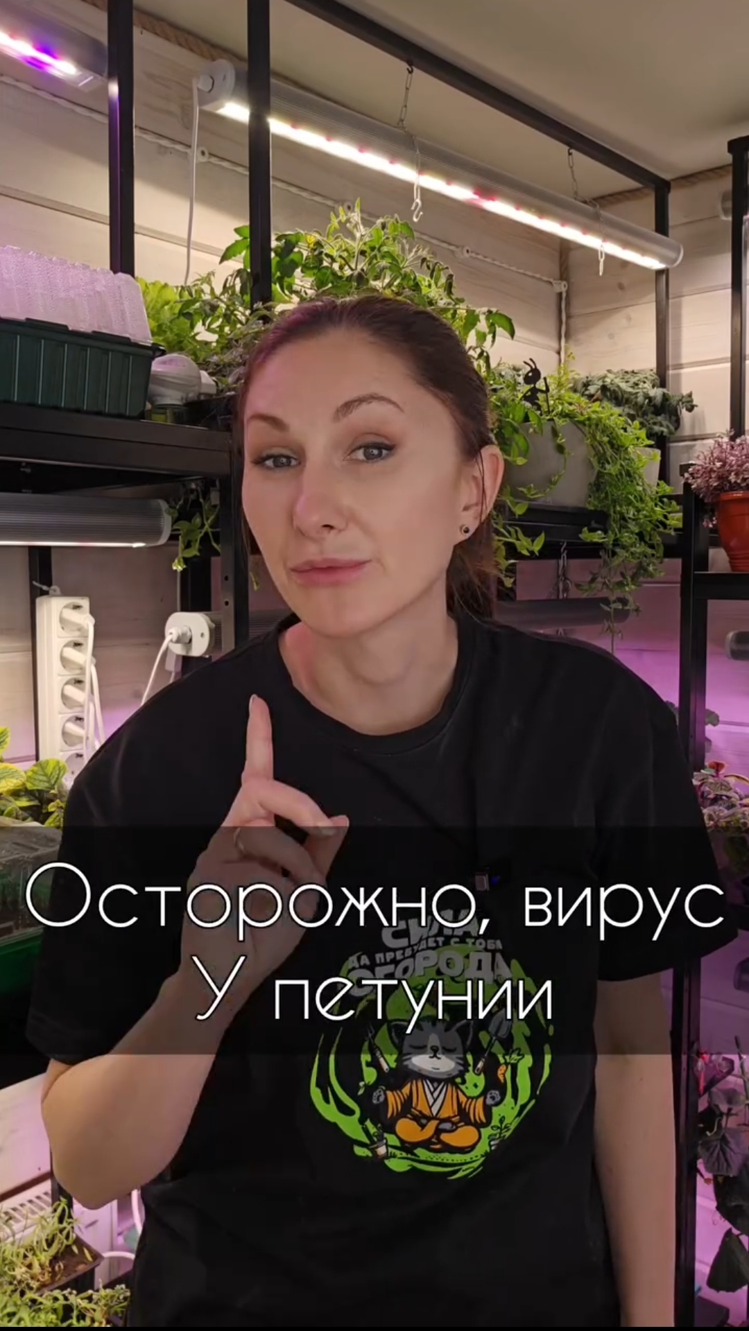 Осторожно, вирус у петунии! смотреть онлайн