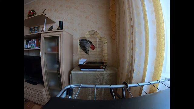#2. Жако Жека. Один Дома. смотреть онлайн