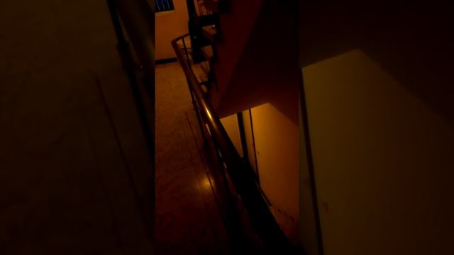 Studio / Bordeel Schep-Vander 1 смотреть онлайн