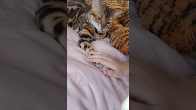 влог 5 часть смотреть онлайн