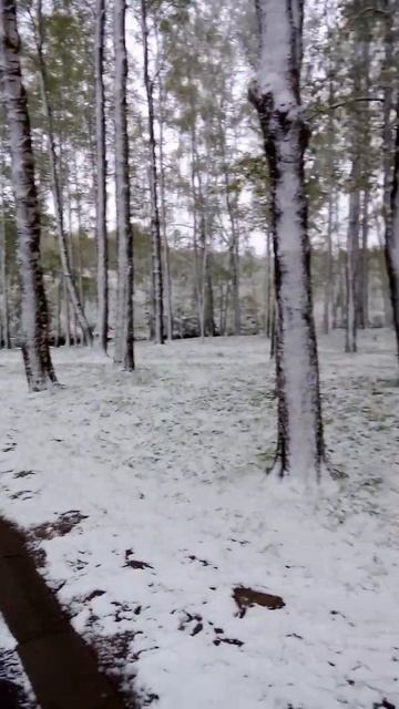 Майский парк 08.05.2024 смотреть онлайн