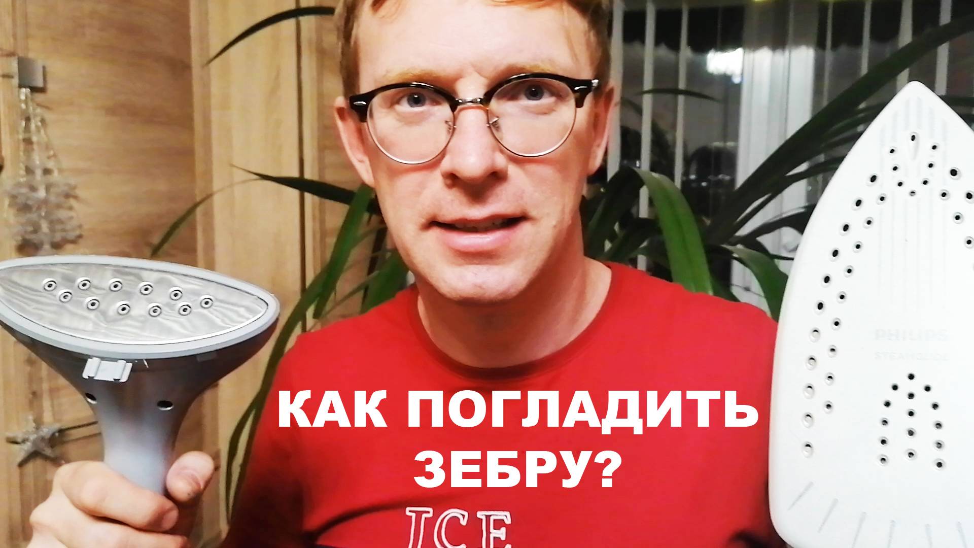 Как погладить зебру день ночь